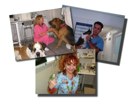 Cache 2477436285 | CENTRO VETERINARIO SAN AGUSTÍN