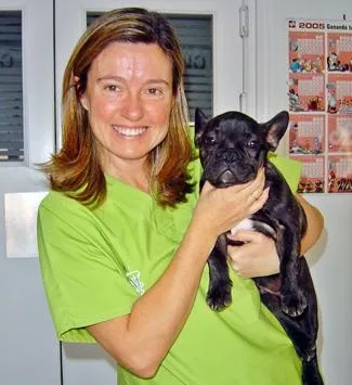 Screenshot 2026 07 10 150240 | CENTRO VETERINARIO SAN AGUSTÍN