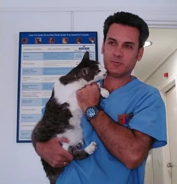 Screenshot 2026 07 10 150413 | CENTRO VETERINARIO SAN AGUSTÍN