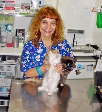 Screenshot 2026 07 10 150505 | CENTRO VETERINARIO SAN AGUSTÍN