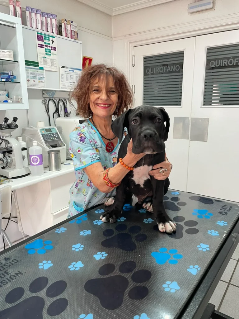 Monicaycanecorso | CENTRO VETERINARIO SAN AGUSTÍN