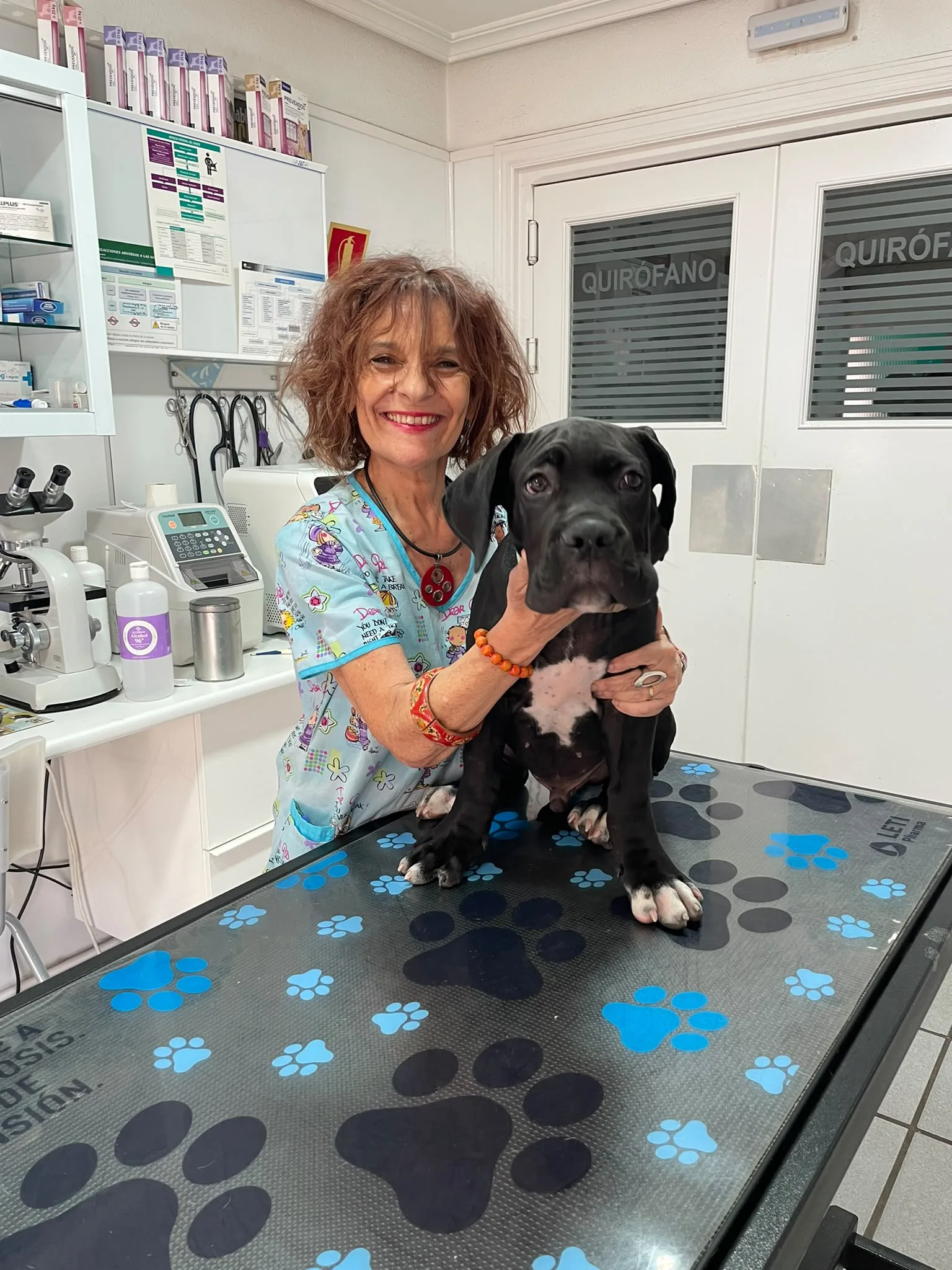 Monicaycanecorso | CENTRO VETERINARIO SAN AGUSTÍN